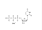 DUTP Deoxynucleotides 2'-Deoxyuridine-5'-Triphosphate محلول ملح الصوديوم